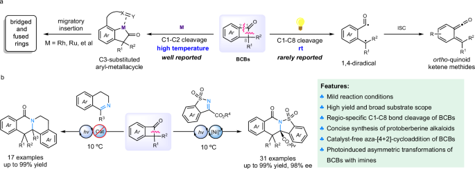 Aza-[4 + 2]-cycloaddition of benzocyclobutenones into isoquinolinone derivatives enabled by photoinduced regio-specific C–C bond cleavage